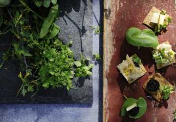 When Cooks Give into Temptation: Using Foraged Ingredients in Gourmet Cooking