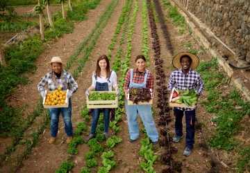 Benefits of Organic Farming